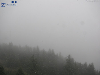 Snímek 17.11.2025 v 12:30