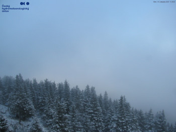 Snímek 18.11.2025 v 11:30