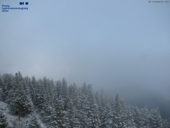 Snímek 18.11.2025 v 12:00