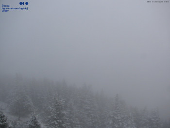 Snímek 19.11.2025 v 09:30