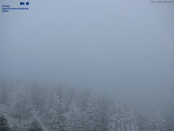 Snímek 20.11.2025 v 13:00