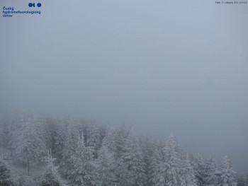 Snímek 21.11.2025 v 12:15