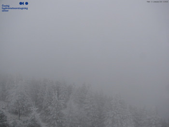 Snímek 21.11.2025 v 13:00