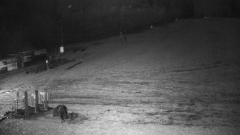 Snímek 6.11.2025 v 21:00