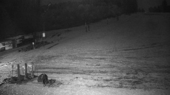 Snímek 7.11.2025 v 01:00