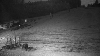 Snímek 7.11.2025 v 03:00