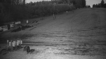 Snímek 7.11.2025 v 06:00