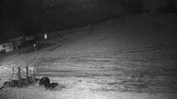 Snímek 8.11.2025 v 02:00