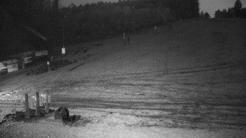 Snímek 8.11.2025 v 17:00