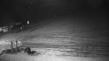 Snímek 8.11.2025 v 20:00