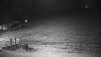 Snímek 14.11.2025 v 04:00