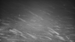 Dolní stanice vleku