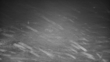 Snímek 17.11.2025 v 04:00