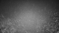 Dolní stanice vleku