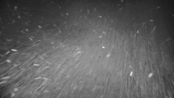 Dolní stanice vleku