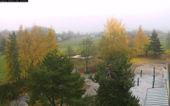 Snímek 6.11.2025 v 07:45