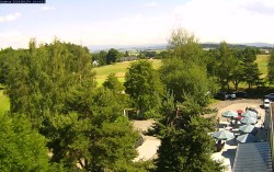 Pole golfowe