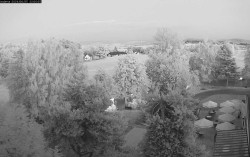 Pole golfowe