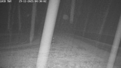 Pojezdová dráha, Runway