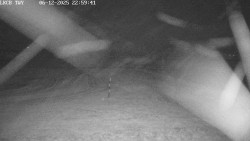 Pojezdová dráha, Runway