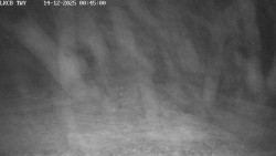 Pojezdová dráha, Runway