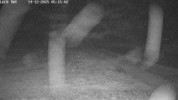 Pojezdová dráha, Runway