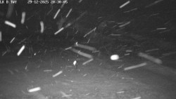 Pojezdová dráha, Runway