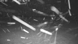 Pojezdová dráha, Runway