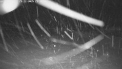 Pojezdová dráha, Runway