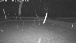 Pojezdová dráha, Runway