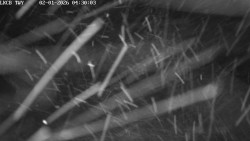 Pojezdová dráha, Runway