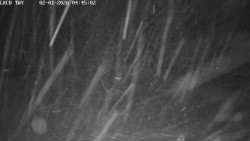 Pojezdová dráha, Runway