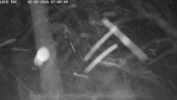 Pojezdová dráha, Runway