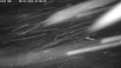 Pojezdová dráha, Runway