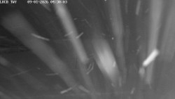 Pojezdová dráha, Runway