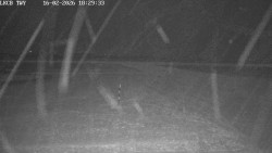 Pojezdová dráha, Runway