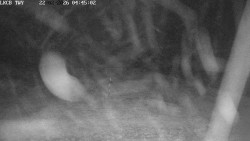 Pojezdová dráha, Runway