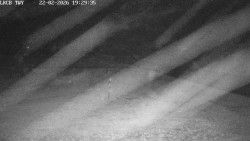 Pojezdová dráha, Runway