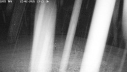 Pojezdová dráha, Runway