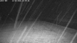 Pojezdová dráha, Runway