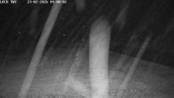 Pojezdová dráha, Runway