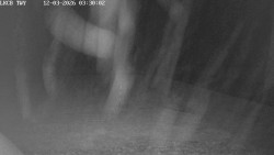 Pojezdová dráha, Runway