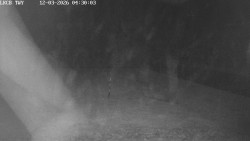 Pojezdová dráha, Runway