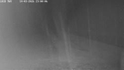 Pojezdová dráha, Runway