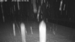 Pojezdová dráha, Runway