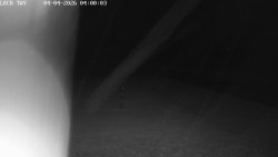 Pojezdová dráha, Runway