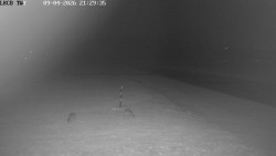 Pojezdová dráha, Runway