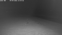 Pojezdová dráha, Runway