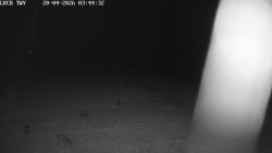 Pojezdová dráha, Runway