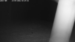 Pojezdová dráha, Runway